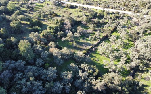 Bodrum Göltürkbükü’ne Yakın Satılık Arsa