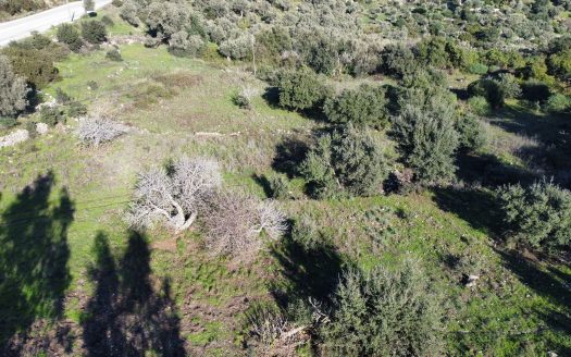 Bodrum Göltürkbükü’ne Yakın Satılık Arsa