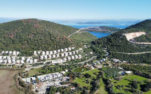 Bodrum Göltürkbükü Mah. Göl Kenarında Satılık Zeytinli Tarla